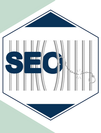 Guide to Recovery from SEO Penalties