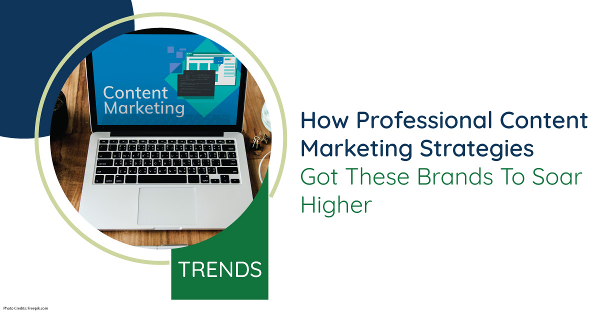 How Professional Content Marketing Strategies Got These Brands To Soar Higher